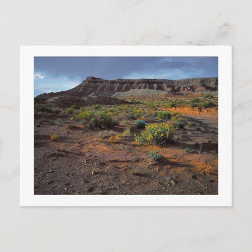 Sundowner Plateau Postcard