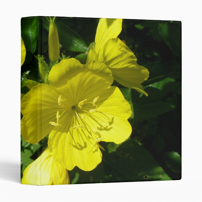 Sundrops (Primrose) Binder (Front/Spine)