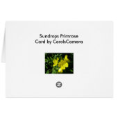 Sundrops Primrose Coordinating Items Cards (Back Horizontal)