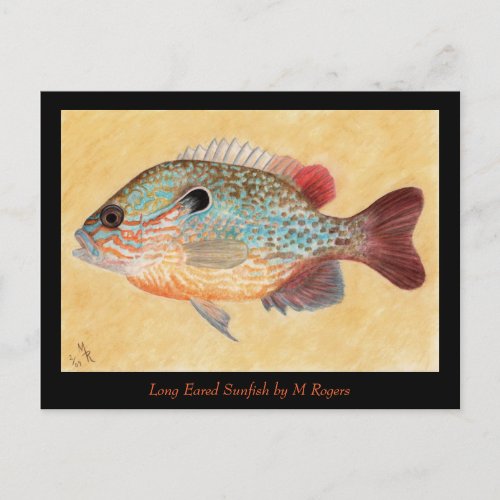 Sunfish Art Card