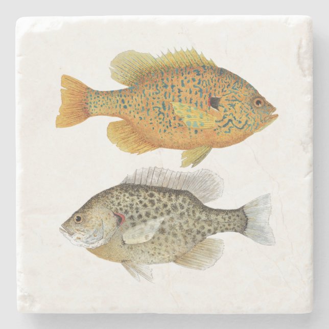 Sunfish Coater Stone Coaster (Front)