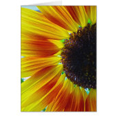 Sunflower (Front)
