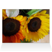 Sunflower (Inside Horizontal (Top))