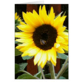 Sunflower (Front)