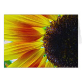 Sunflower (Front Horizontal)
