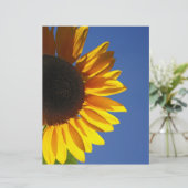Sunflower (Standing Front)