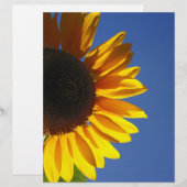 Sunflower (Front/Back)