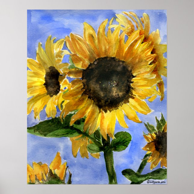 Sunflower 01 Watercolor Paintings Art Print (Front)