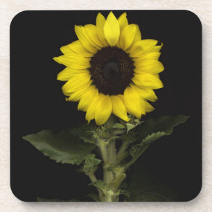 Sunflower 11 drink coaster