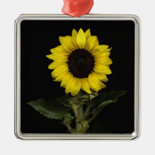Sunflower 11 metal ornament (Front)