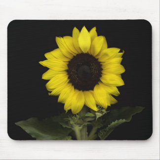 Sunflower 11 mouse pad