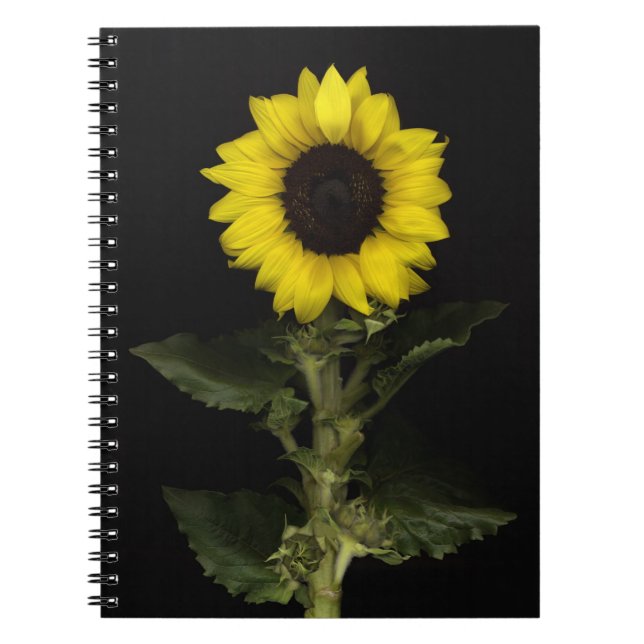 Sunflower 11 notebook (Front)