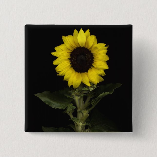 Sunflower 11 pinback button (Front)