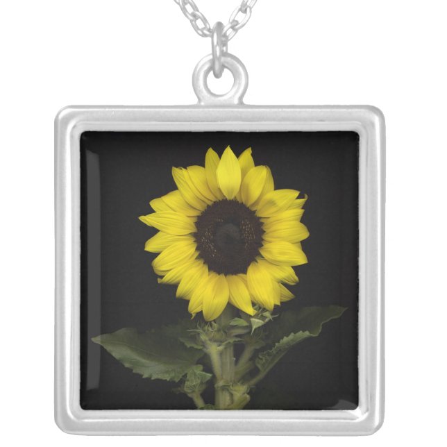 Sunflower 11 silver plated necklace (Front)