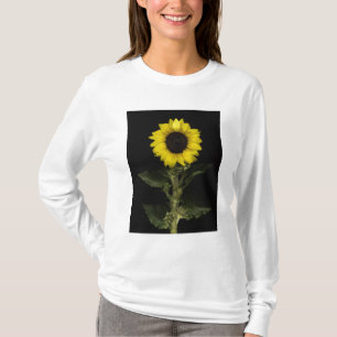 Sunflower 11 T-Shirt