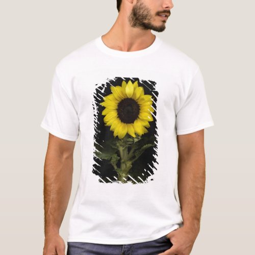 Sunflower 11 T_Shirt