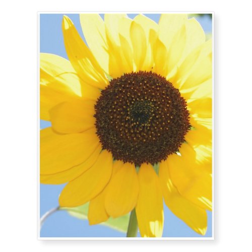 sunflower-11 temporary tattoos