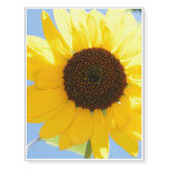 sunflower-11 temporary tattoos