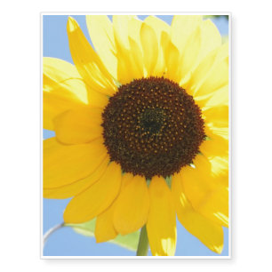 sunflower-11 temporary tattoos