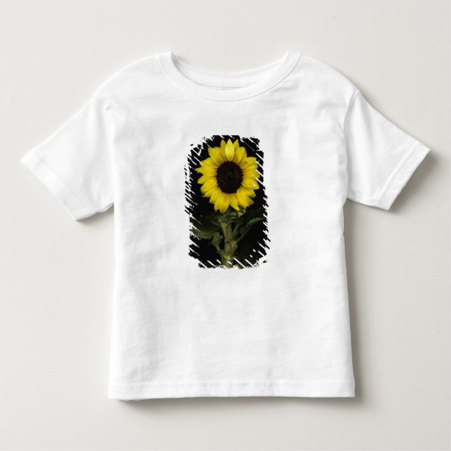Sunflower 11 toddler t-shirt (Front)