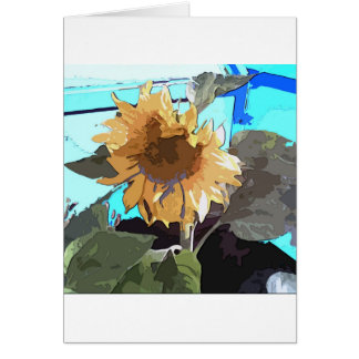 Sunflower 14