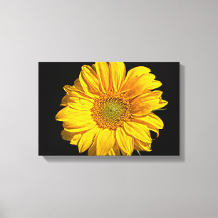 Sunflower 16.50x11(41.25x27.5cm) waccna canvas print