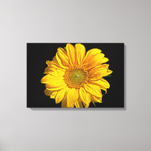 Sunflower 24x16 (60x40cm) waccnm canvas print