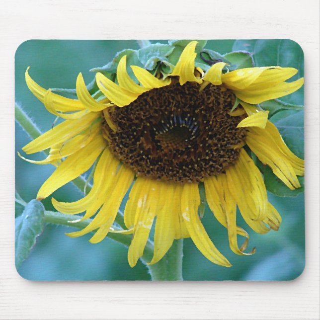 Sunflower 2 mouse pad (Front)