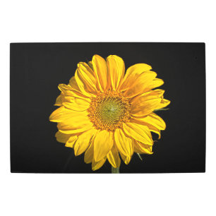 Sunflower 30x20 (75x50cm) wamecna metal print