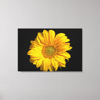 Sunflower 36x24 (90x60cm) waccna canvas print