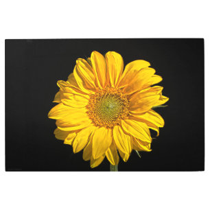 Sunflower 36x24 (90x60cm) wamecnm metal print
