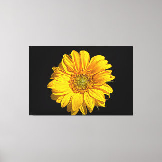 Sunflower 60x40 (150x100cm) waccna canvas print