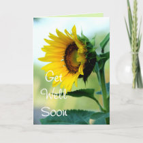 Sunflower 703 Get Well or any occasion Card