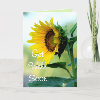 Sunflower 7 Get Well or any 03 Card