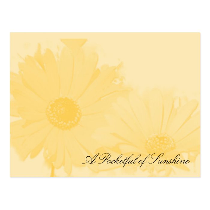 Sunflower, A Pocketful of Sunshine Postcard