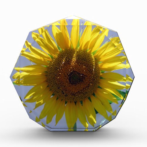 Sunflower Acrylic Award