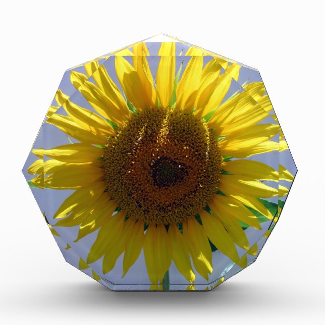 Sunflower Acrylic Award (Front)