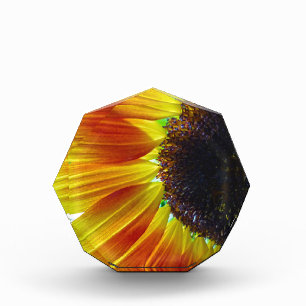 Sunflower Acrylic Award
