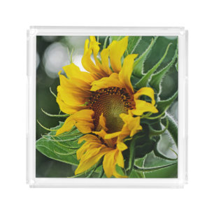 Sunflower Acrylic Tray