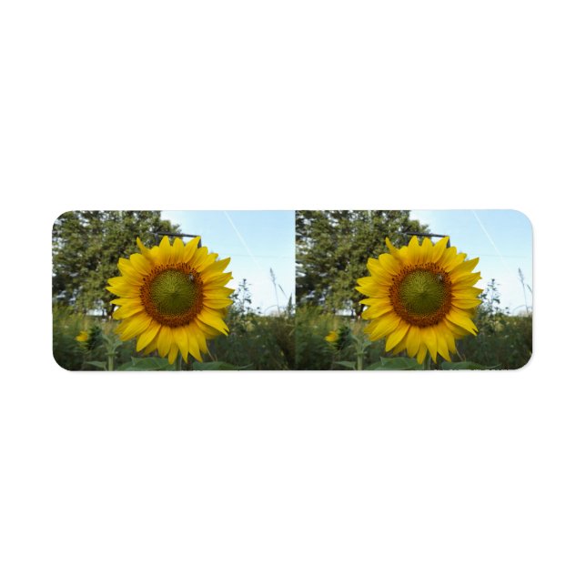 sunflower address label (Front)