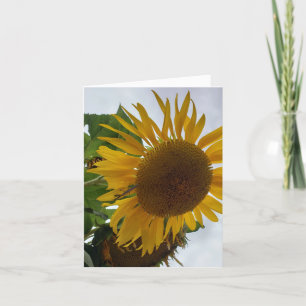 Sunflower: Adoration, Loyalty - A happy flower. Pr Thank You Card