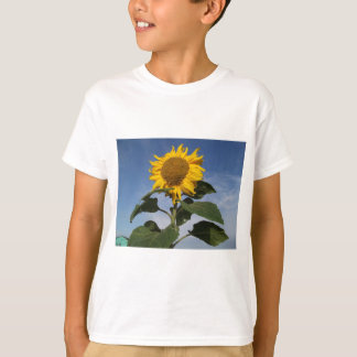 Sunflower against blue sky T-Shirt