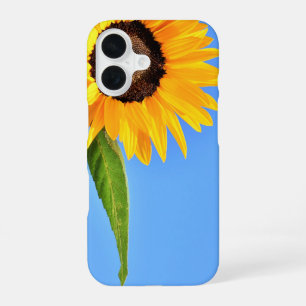 Sunflower Against Sun iPhone Case Blue Sky