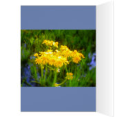 Sunflower All Occasion Card (Inside (Left))