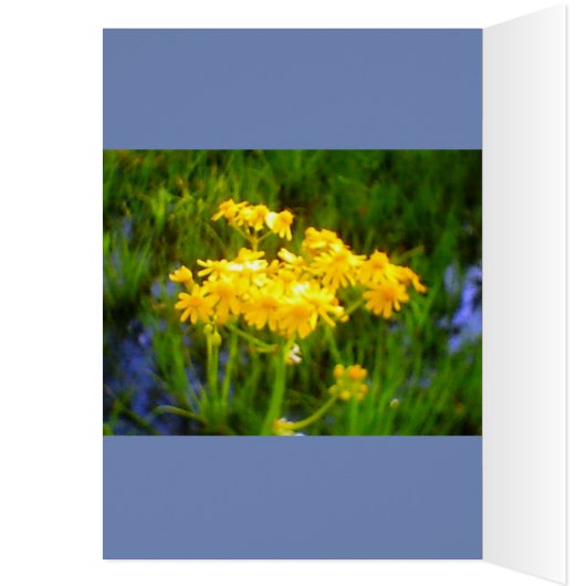 Sunflower All Occasion Card (Inside (Left))