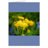 Sunflower All Occasion Card (Front)