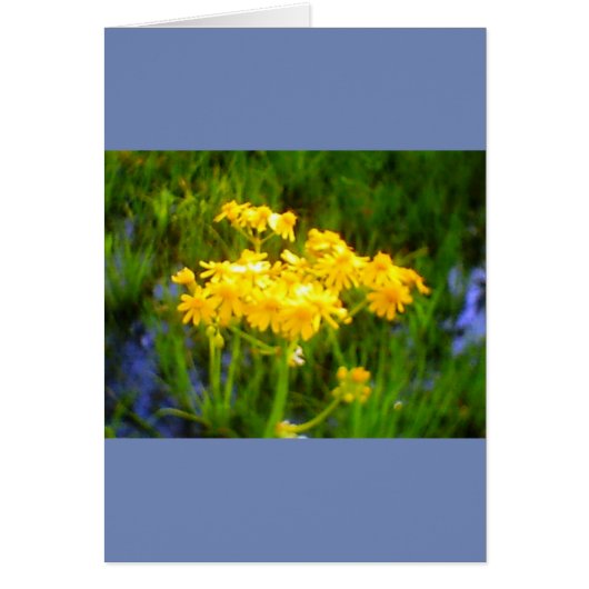 Sunflower All Occasion Card (Front)