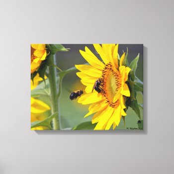Sunflower And Bees Canvas Print by Considernature at Zazzle