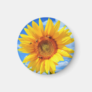 Sunflower and Bees Magnet Summer 