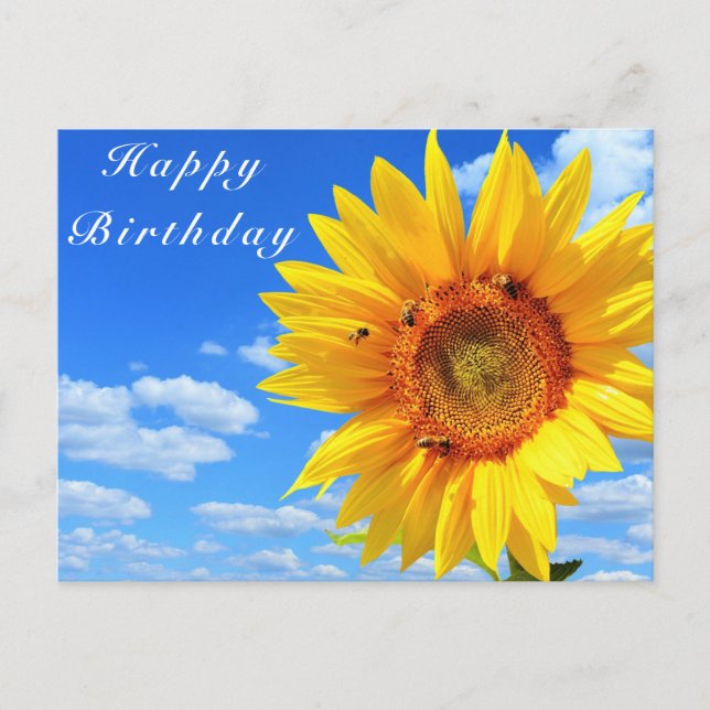 Sunflower and Bees on Blue Sky Birthday Card (Front)
